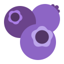 Blueberries Flat icon
