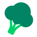 Broccoli Flat icon