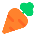 Carrot-Flat icon