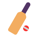 Cricket Game Flat icon