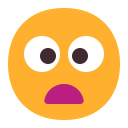 Frowning Face With Open Mouth Flat icon