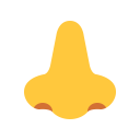 Nose-Flat-Default icon