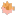 Blowfish Flat icon