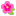 Hibiscus Flat icon