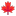 Maple Leaf Flat icon