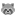 Raccoon Flat icon