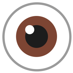 Eye Flat icon