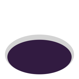 Hole Flat icon