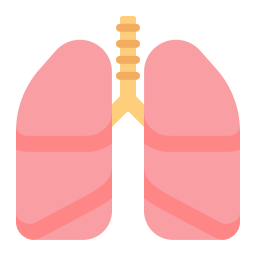 Lungs Flat icon