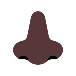 Nose Flat Dark icon
