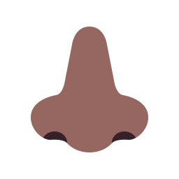 Nose Flat Medium Dark icon
