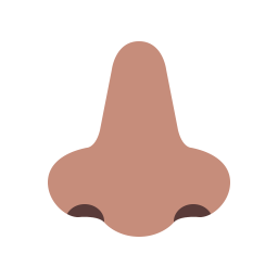 Nose Flat Medium icon