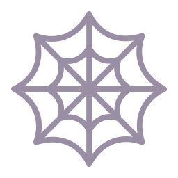 Spider Web Flat icon