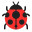 Lady Beetle Flat icon