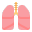 Lungs Flat icon