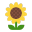 Sunflower Flat icon