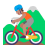 Person Mountain Biking Flat Medium icon