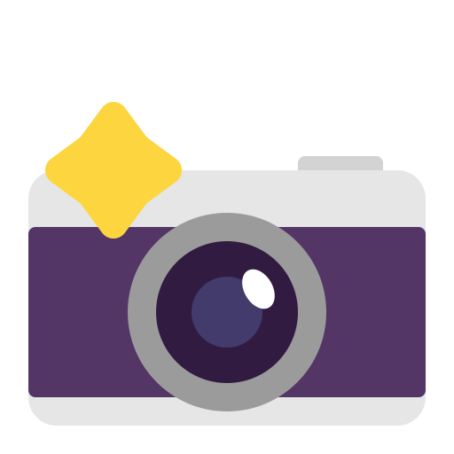 Camera With Flash Flat icon