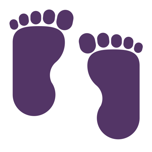 Footprints Flat icon