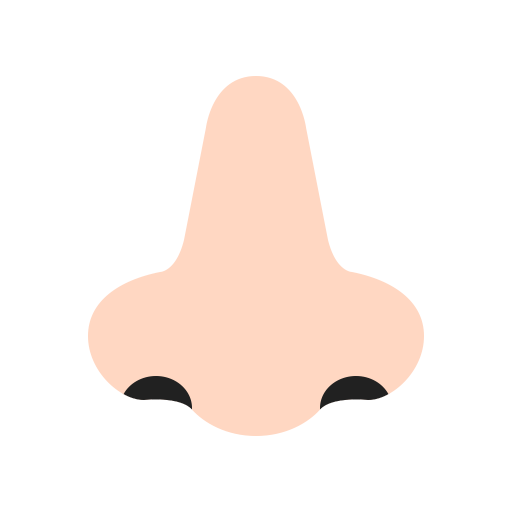 Nose Flat Light icon