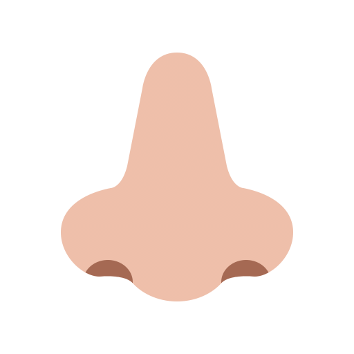Nose Flat Medium Light icon