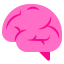 Brain Flat icon