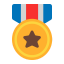 Military Medal Flat icon