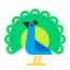 Peacock Flat icon