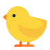 Baby-Chick-Flat icon