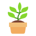 Potted-Plant-Flat icon