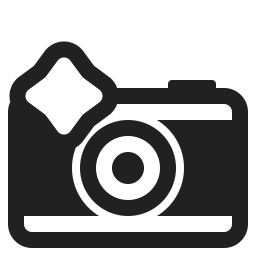 Camera With Flash icon