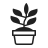 Potted-Plant icon