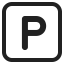 P Button icon