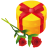 Gift-rose icon