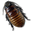 Caca-Roach icon