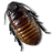 Caca-Roach icon