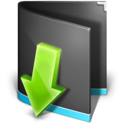 Downloads Folder Black icon