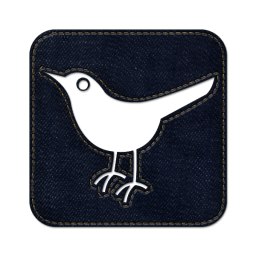 Twitter bird2 square icon
