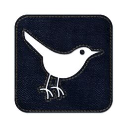 Twitter bird3 square icon