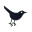 Twitter-bird-3 icon