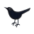 Twitter-bird-2 icon