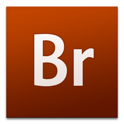 Adobe Bridge CS 3 icon