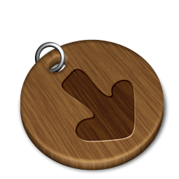 Woody download icon