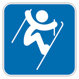 Freestyle Skiing Aerials icon