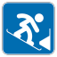 Snowboard Parallel Slalom icon