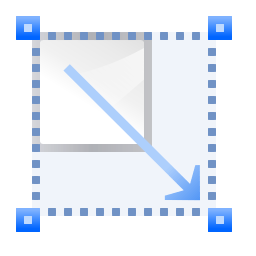 Actions transform scale icon