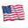 USA Flag icon