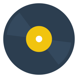 Disc vinyl icon