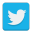 Social twitter icon