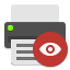 Document print preview icon